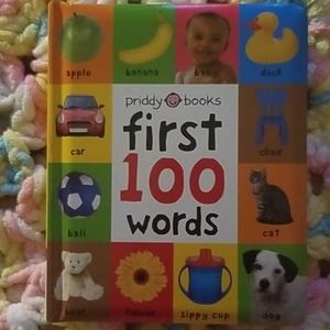 Baby Book- "First 100 Words"
